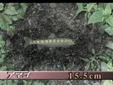 Soreike Flyfishing - Lets Go Flyfishing (JP) screen shot game playing